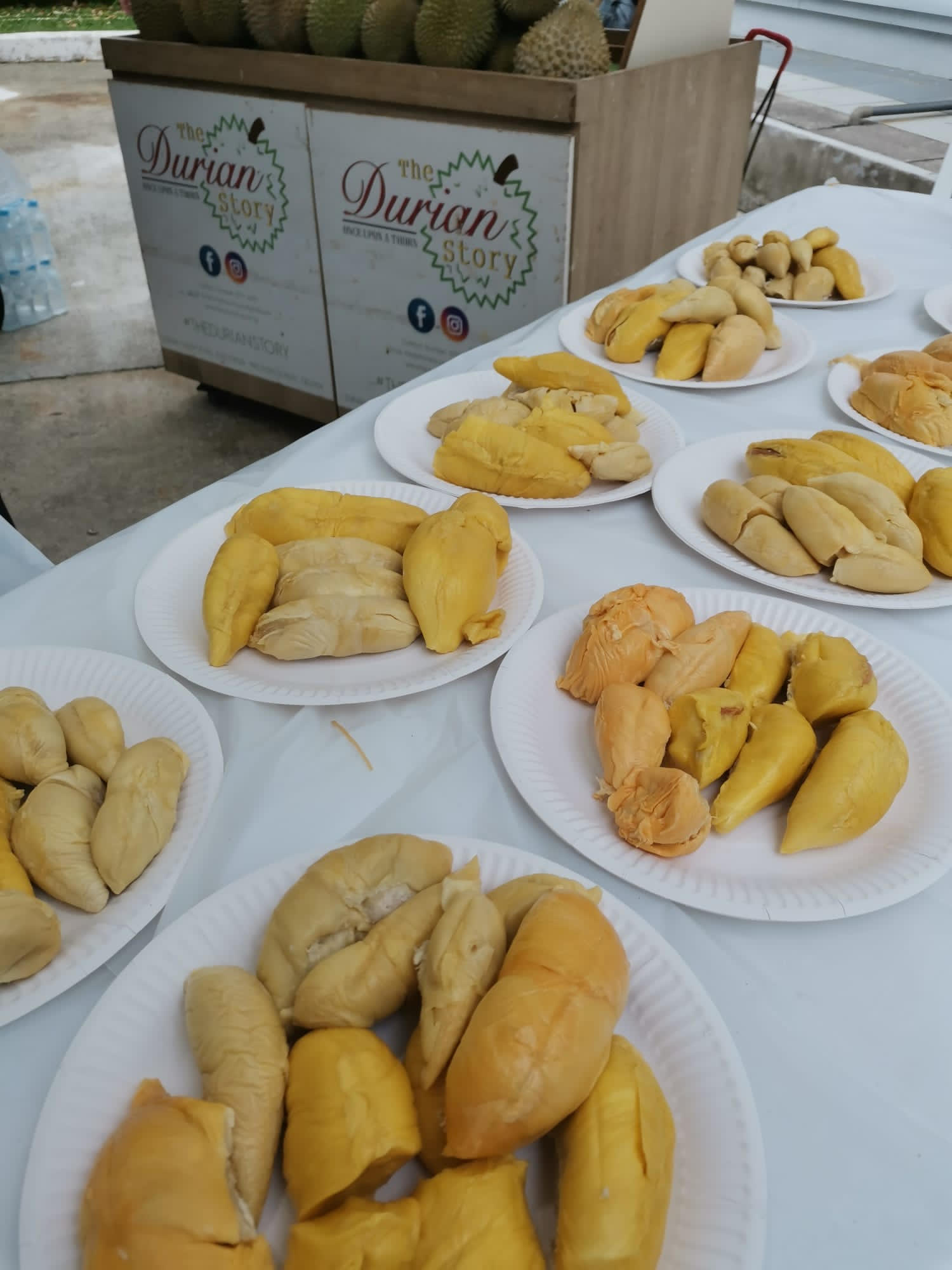 Corporate Durian Party with LG